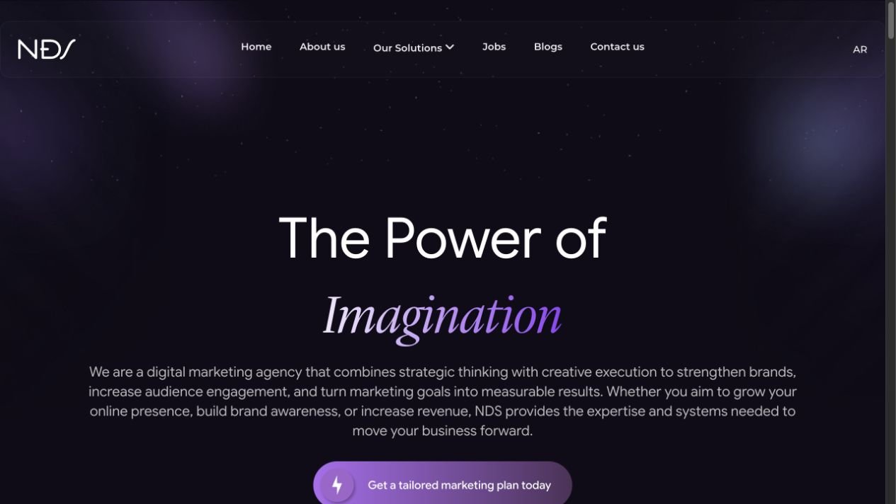 NDS MENA website preview